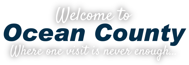 Boost Your Vibe in Ocean County Logo