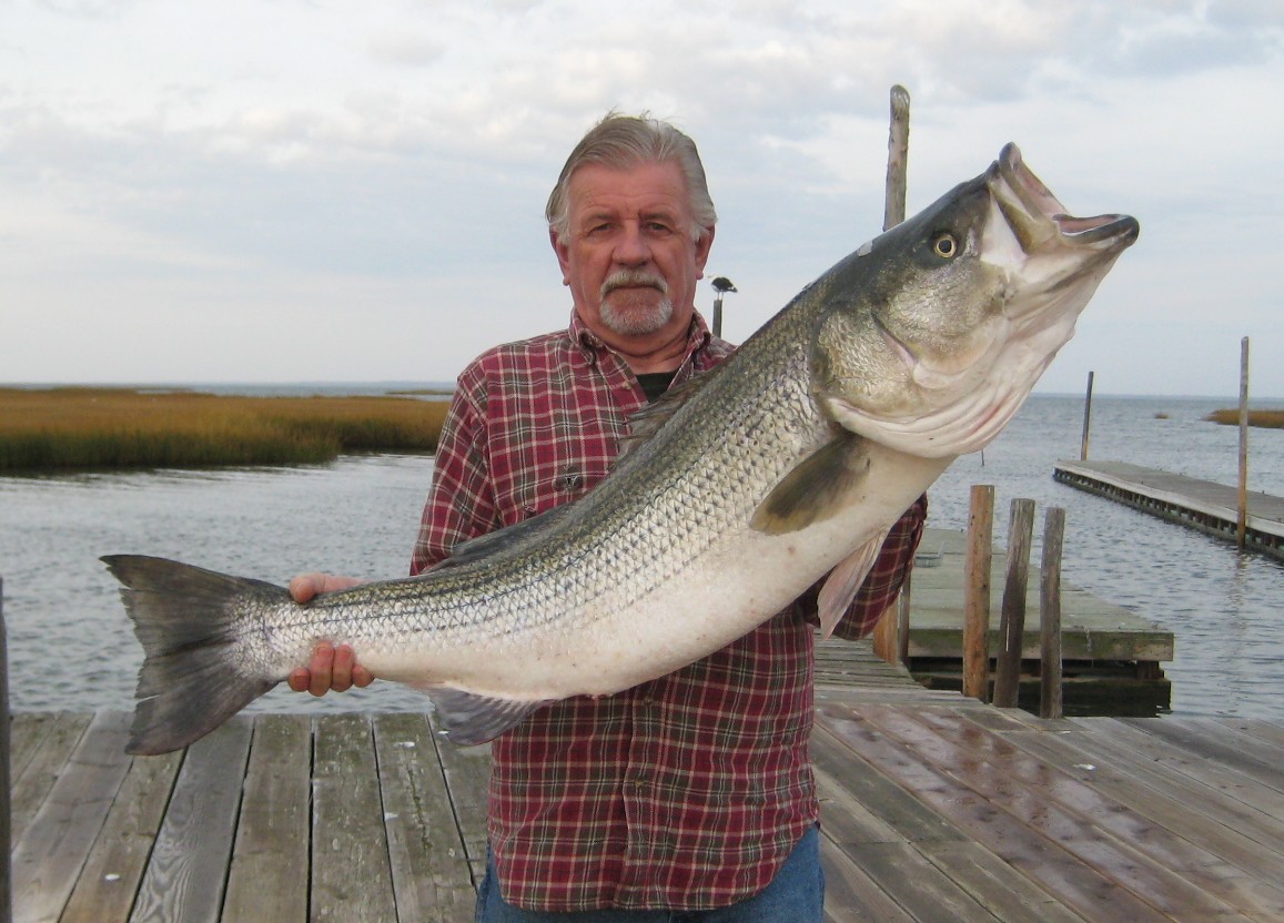 Beach Haven Charter Boat Captains look forward to striper season