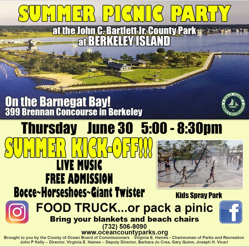 Summer Picnic Party