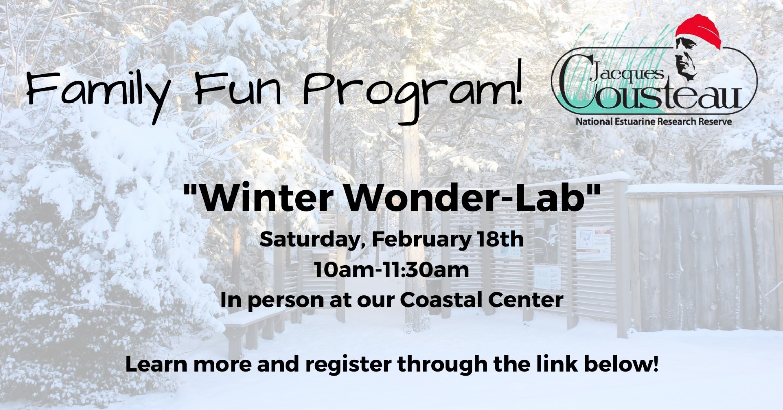 winter wonder-lab