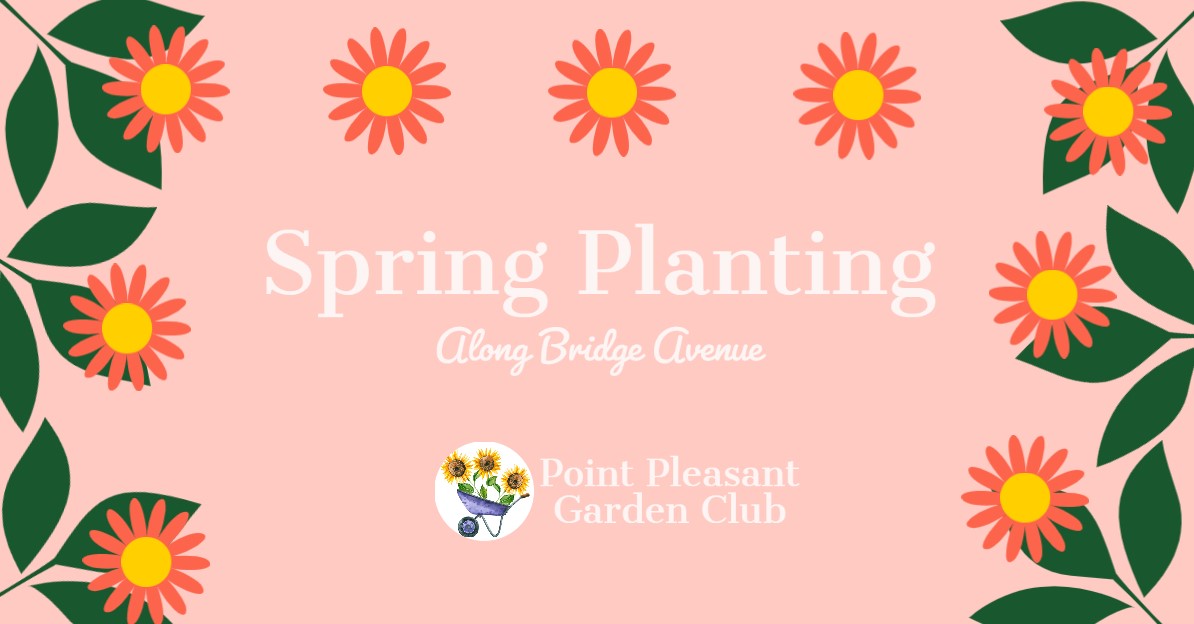 spring planting