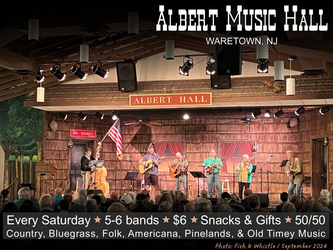 photo of concert