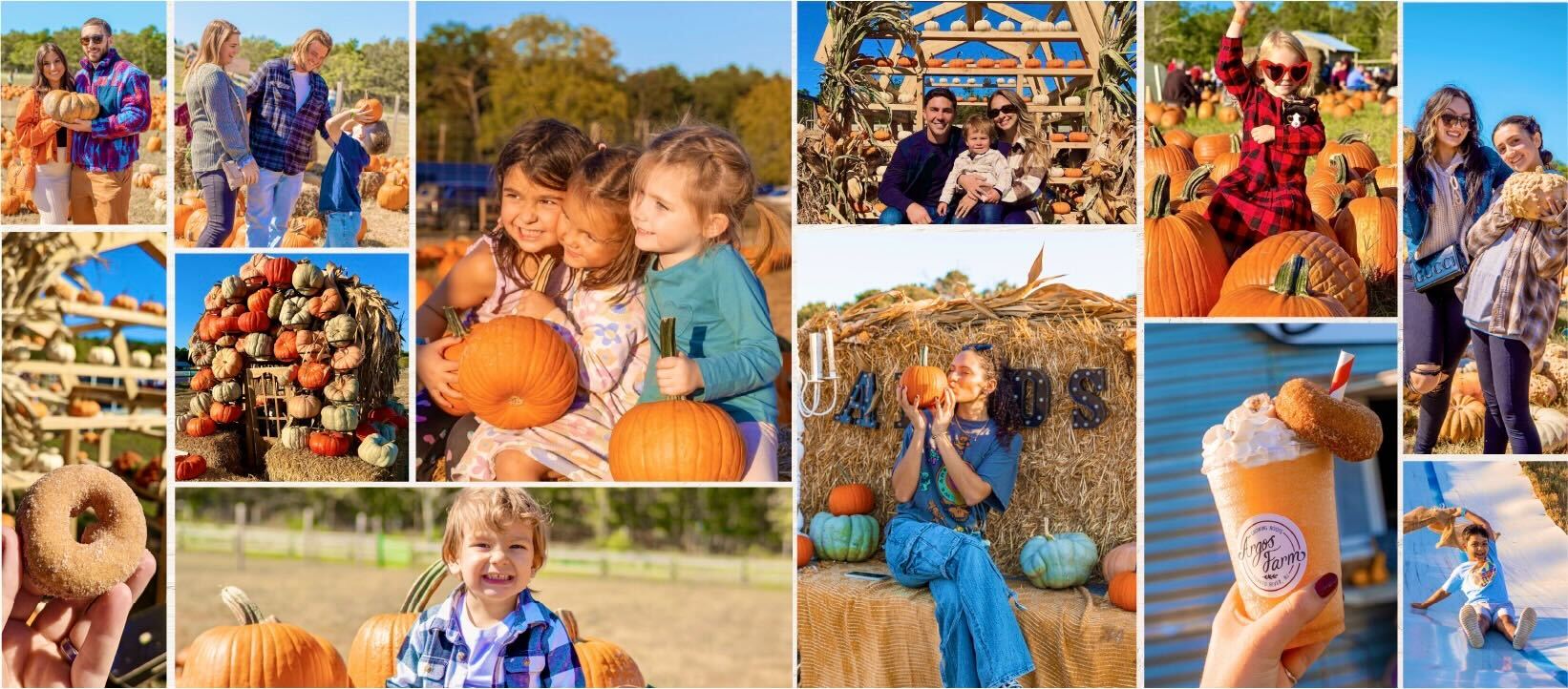 people in pumpkin patch