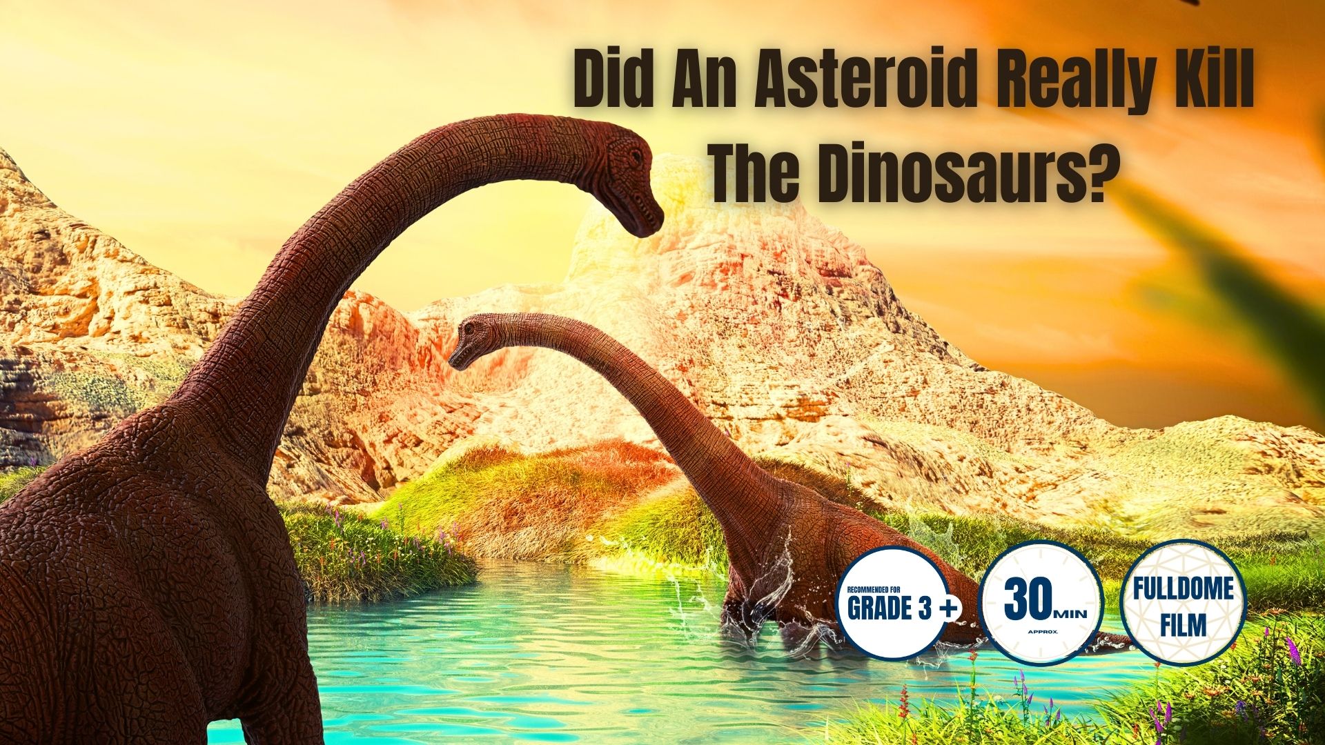 dinosaurs