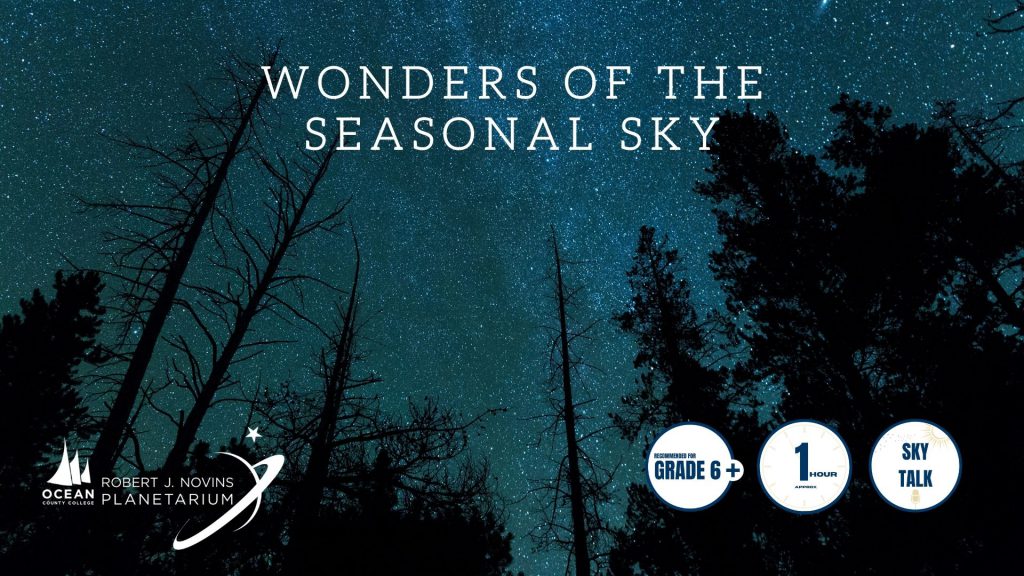 stars in the sky tree line