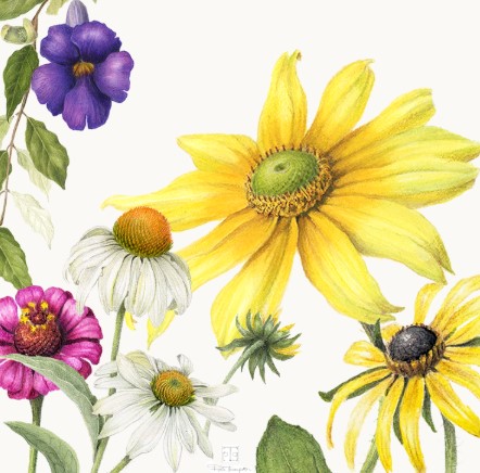 flowers