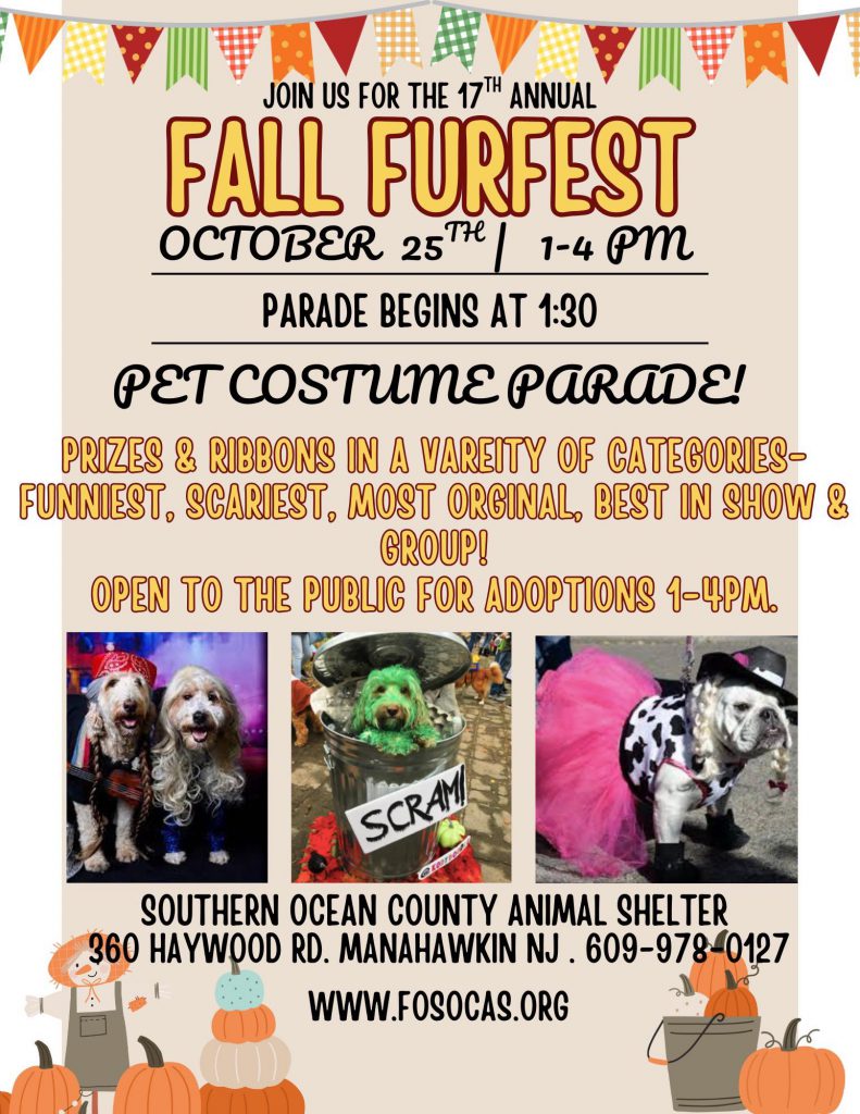 dogs in halloween costumes