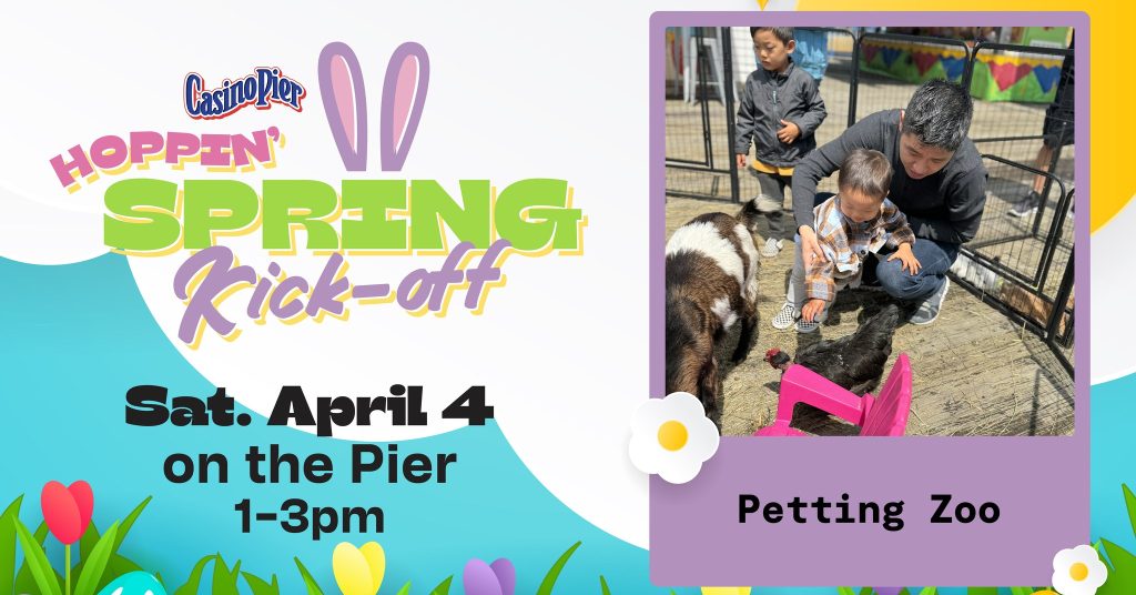 child petting animals at petting zoo