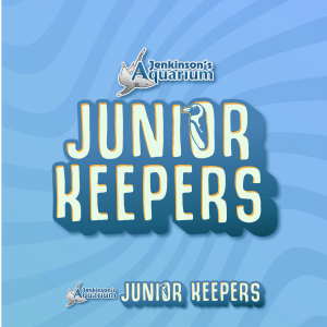 Junior Keepers Jenkinson's Aquarium logo with a shark 