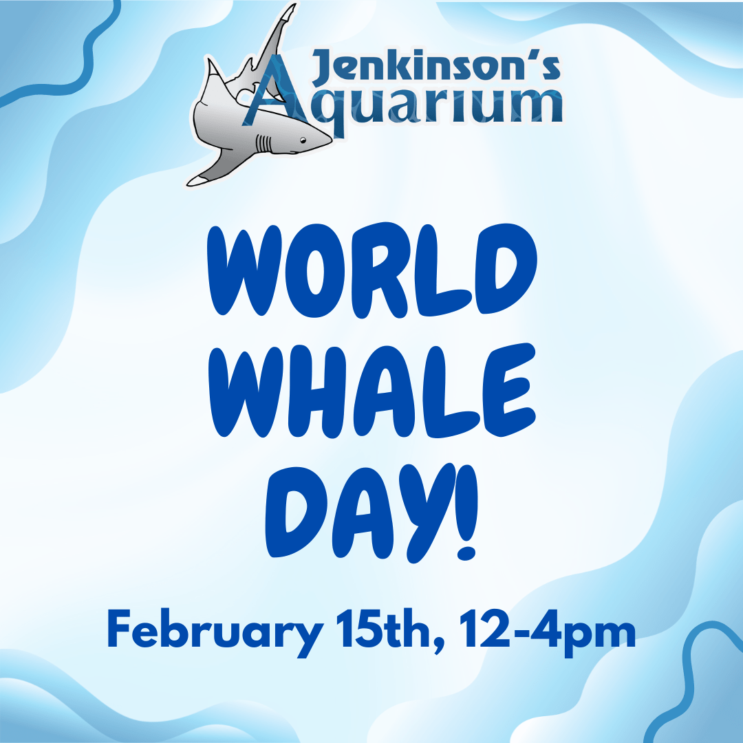 world-whale-day