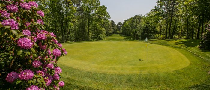 Golf course with trees and flowers