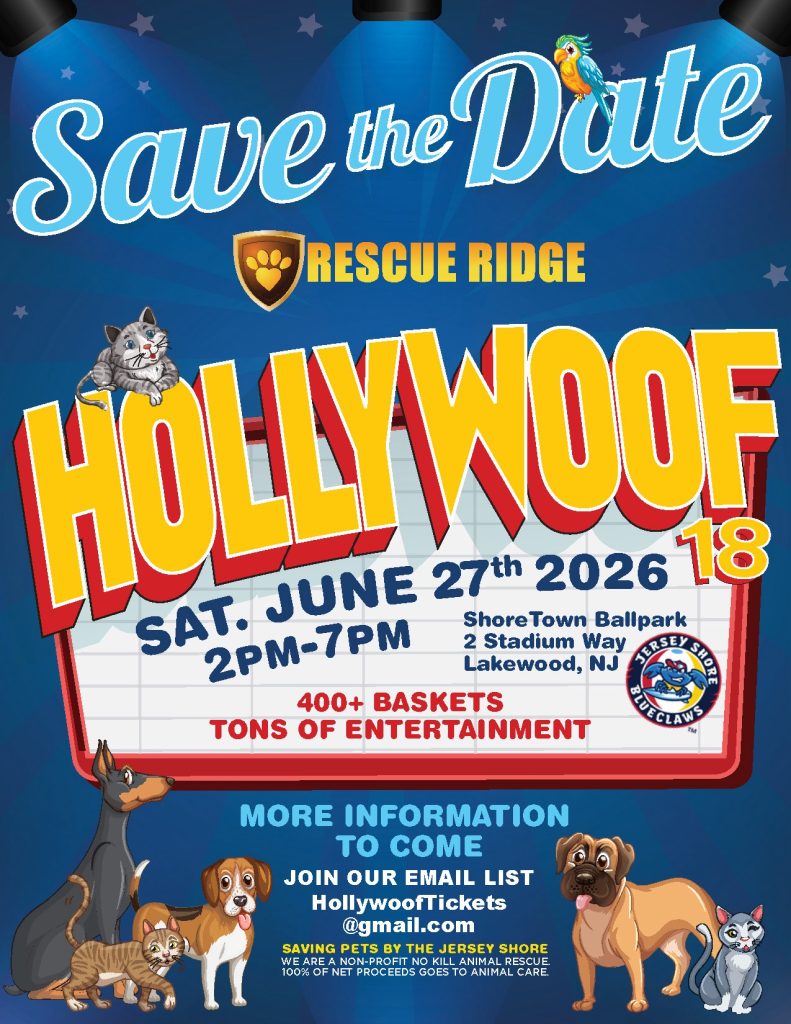 Hollywoof Flyer with dogs and cats on it