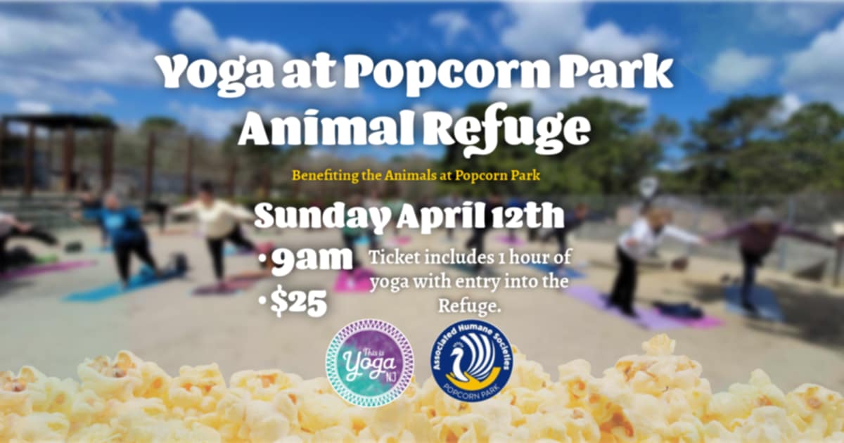 people doing yoga at Popcorn Park Animal Refuge