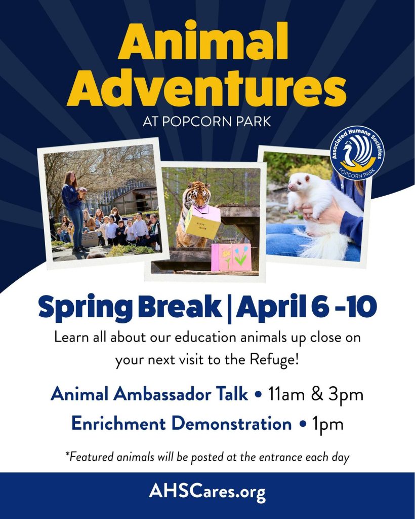 Children watching animal talk at Popcorn Park Animal Refuge.