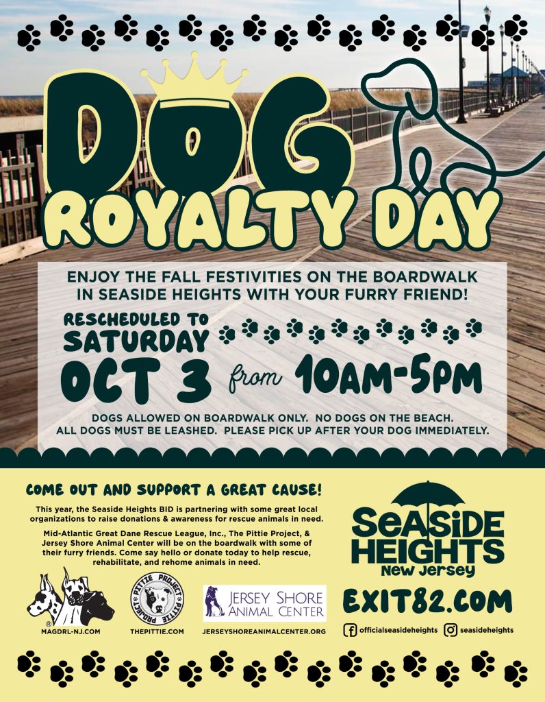 dog royalty day flyer with photo of boardwalk