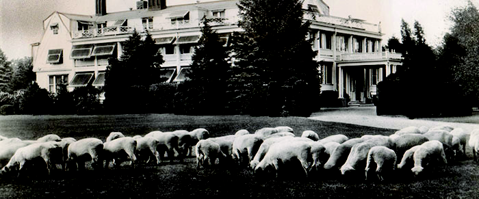 historical reenactment