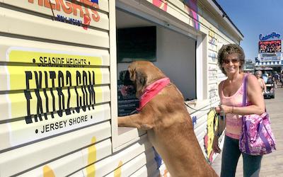 Person holding dog on leash. Dog has front paws on counter of window on the boardwalk