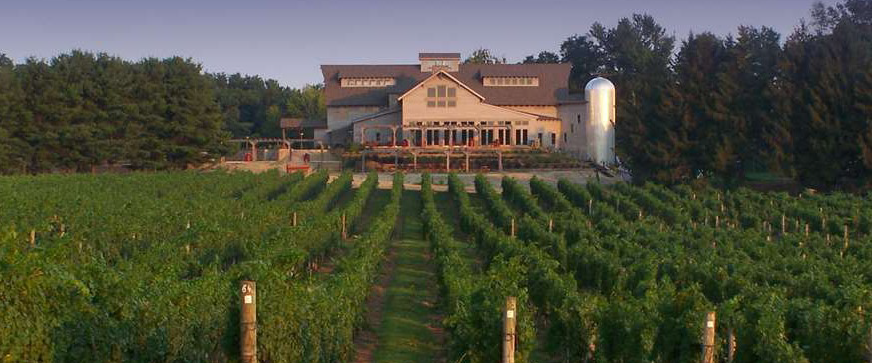 Laurita Winery Vineyard