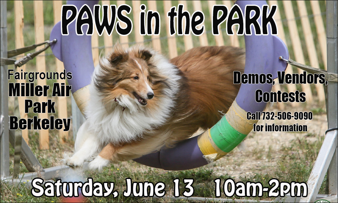 Dog jumping through hoop