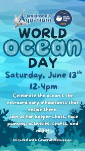 World Ocean Day flyer with graphic of a coral reef in the ocean 