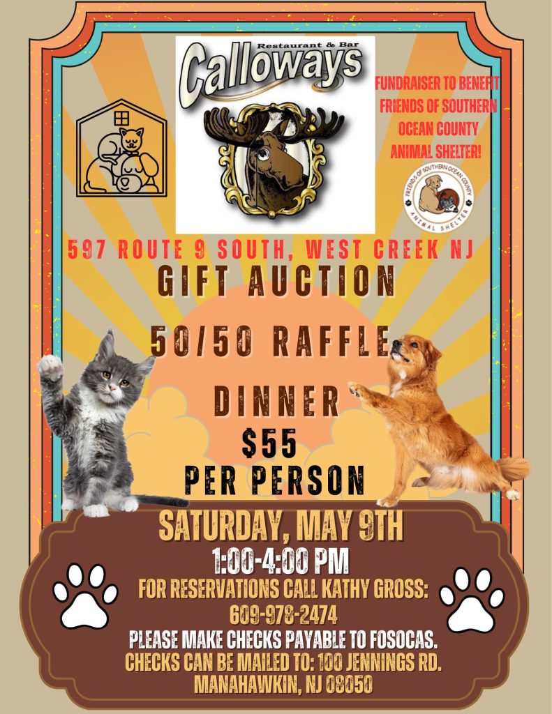 Fundraiser flyer with a dog and a kitten for the Southern Ocean County Animal Shelter 