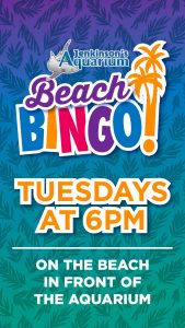 Jenkinson's Aquarium beach bingo Tuesdays 