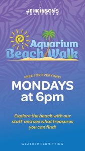 Aquarium Beach Walk 