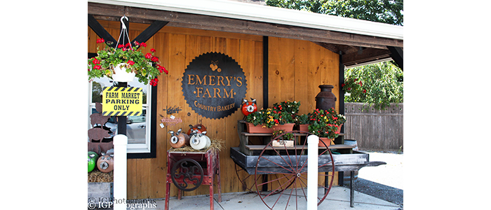 Outside of Emery's Farm, wagon with flowers in pots