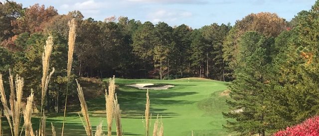 Golf course surrounded by trees and red flowers