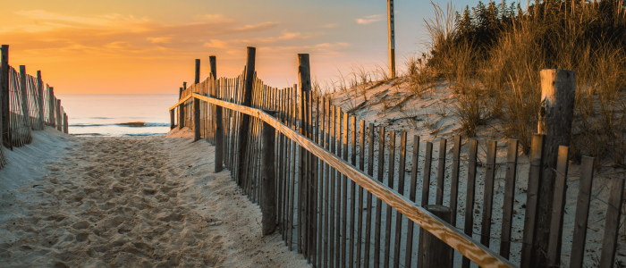 Walkway to the beach surrounded by dune grass with the ocean ahead