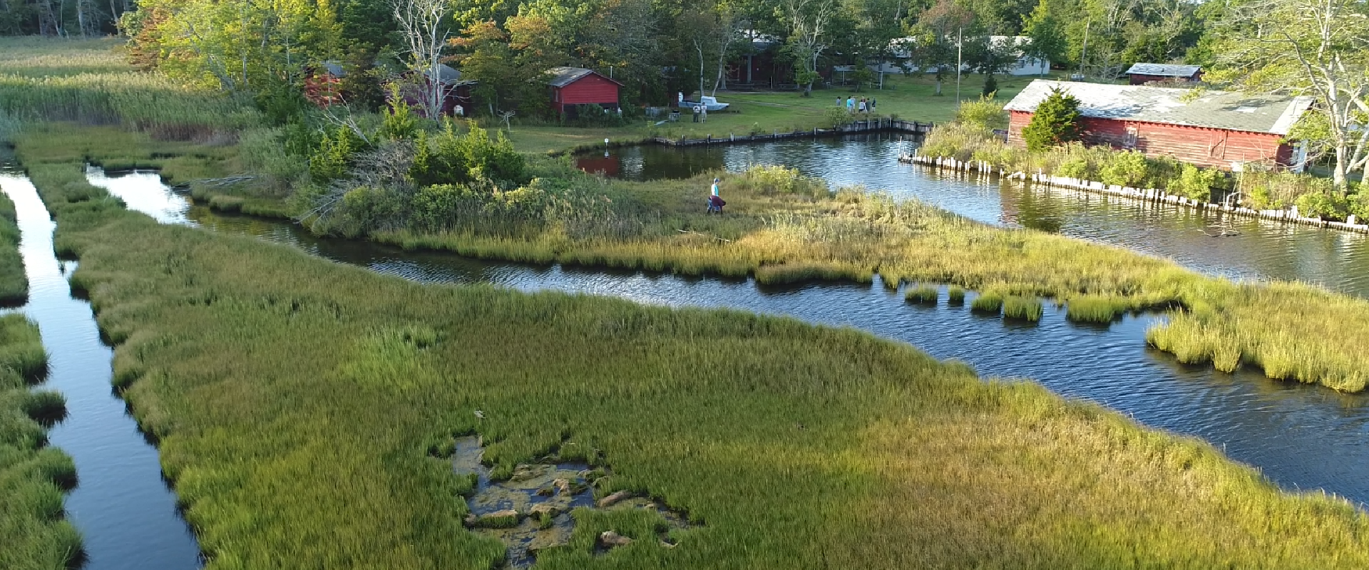 aerial view of waterways through a marsh