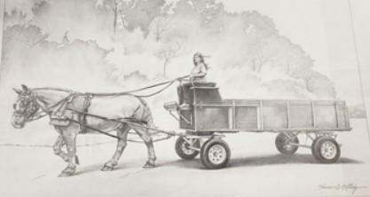 drawing of a horse pulling a wagon