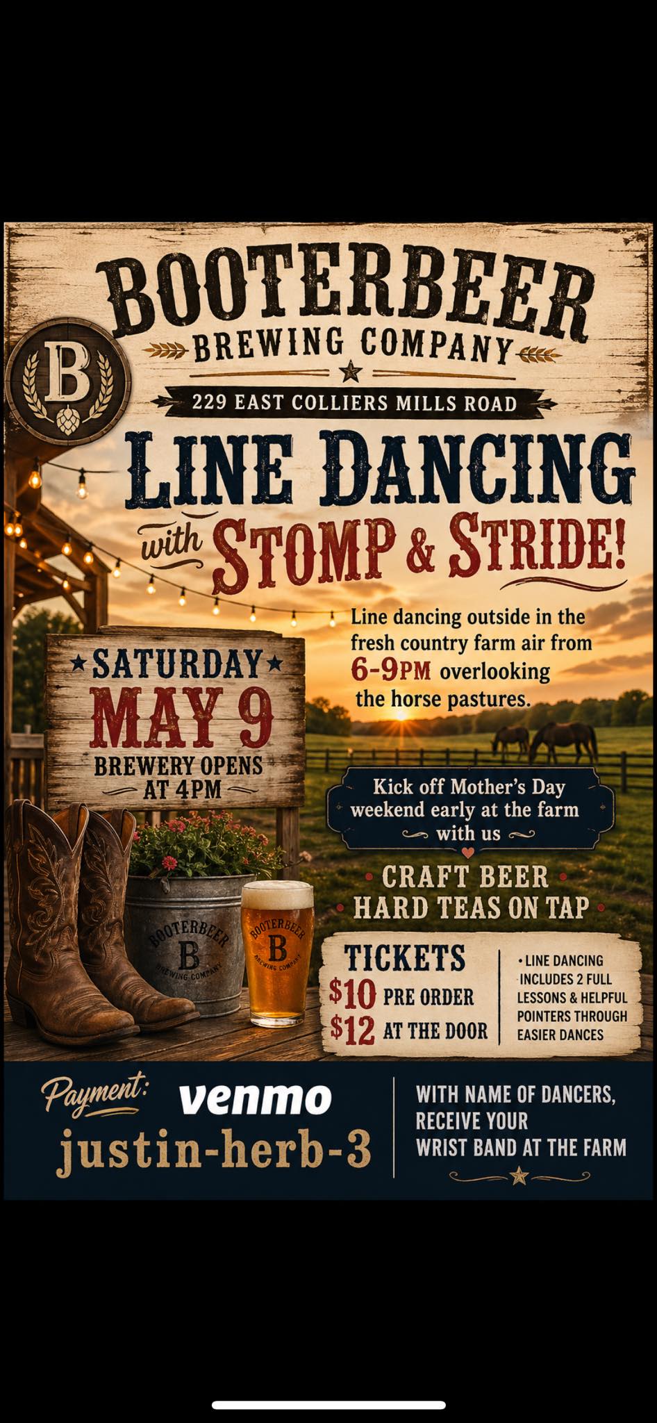 line dancing flyer with horses grazing in a field int he background