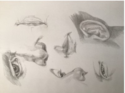 Drawing of facial features. Nose, ears, and eyes.