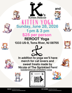 flyer for kitten yoga with graphics of kittens doing yoga 