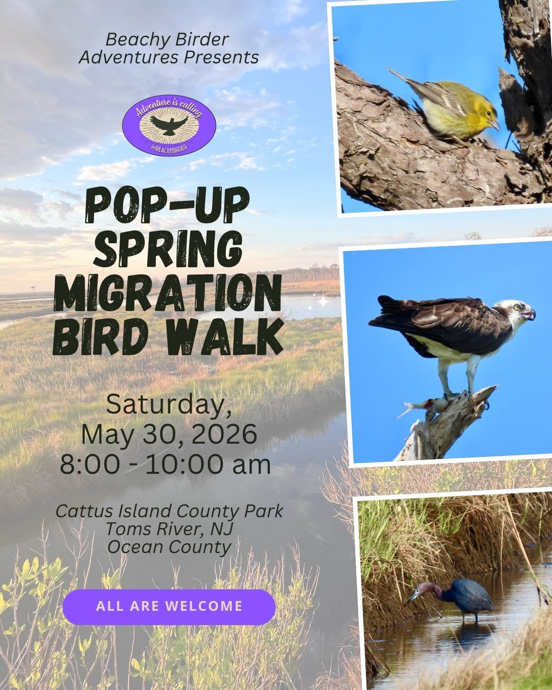 Bird walk flyer with A MARSH IN THE BACKGROUND AND PHOTOS OF A BIRD ON A TREE BRANCH, AN oSPREY HOLDING A FISH ON A BRANCH AND A BIRD IN THE WATER