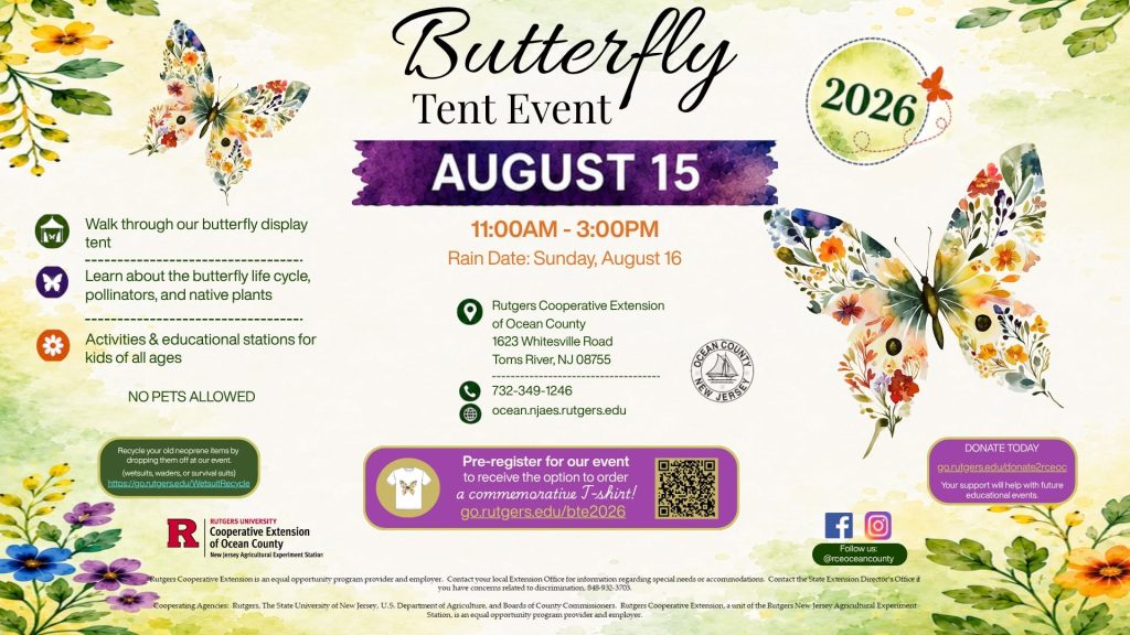 graphic of floral butterflies on a garden background 