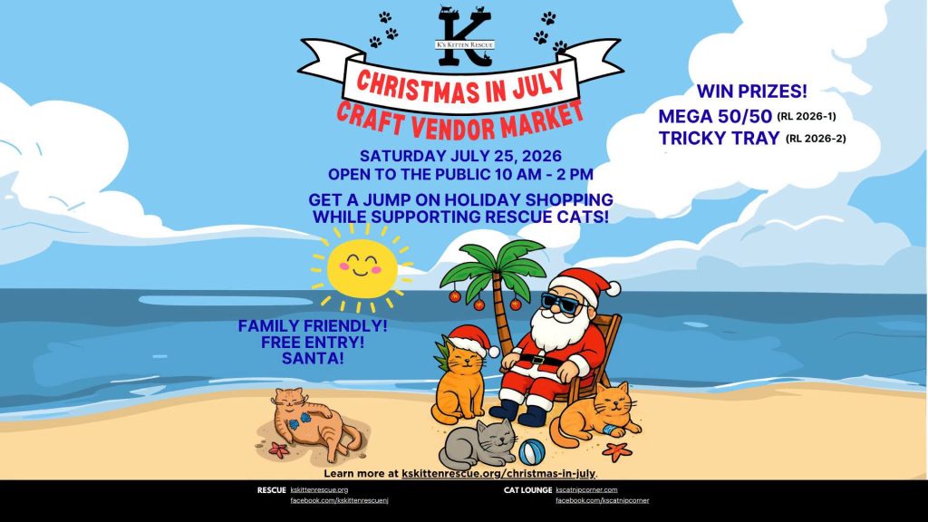 graphic of Santa sitting on a chair on the beach with a palm tree with Christmas ornaments and cats laying around in the sand