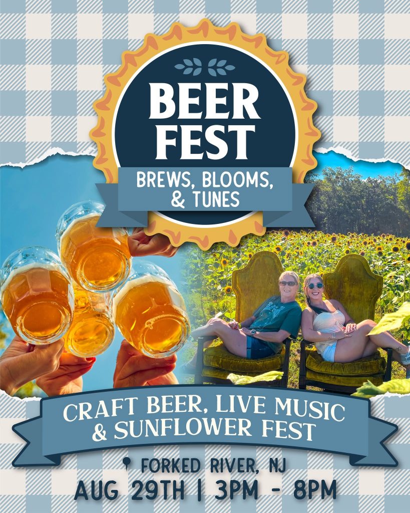 Beer Fest flyer on a blue plaid background. Photo of people holding beer glasses doing cheers, and two women sitting in chairs in a sunflower field 