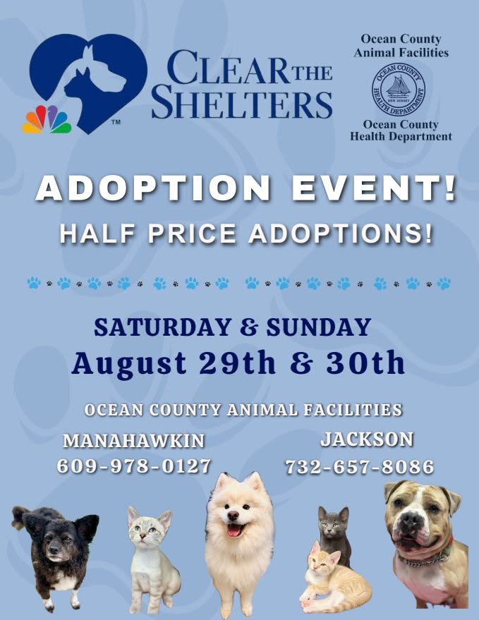clear the shelters adoption event flyer with dogs and cats on it on a blue background