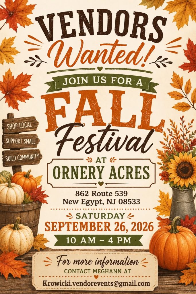 Fall Festival flyer with fall leaves, pumpkins and sunflowers around the border