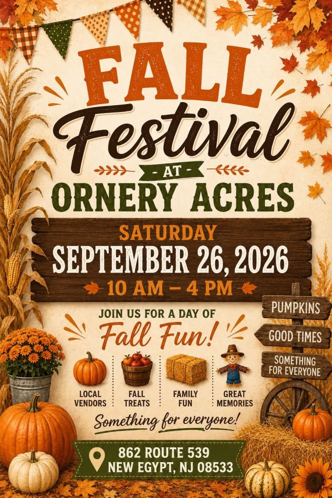 Fall Festival flyer with fall leaves, pumpkins and mums