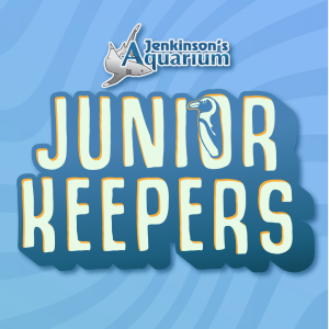 junior keepers