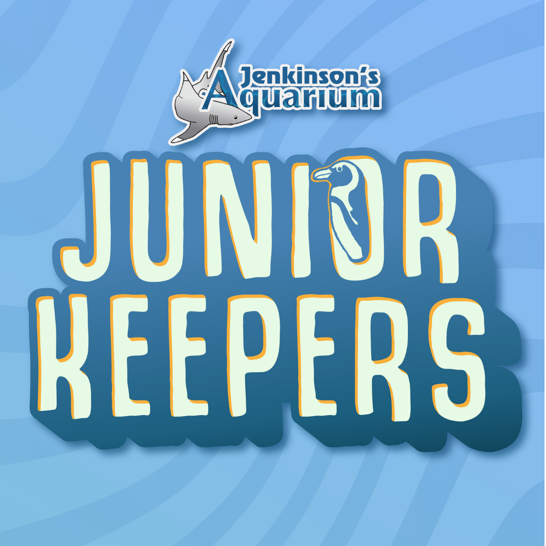 junior keepers
