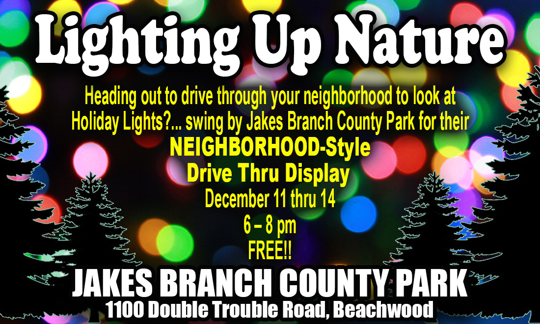 lighting up nature flyer with an outline of trees and colored Christmas lights