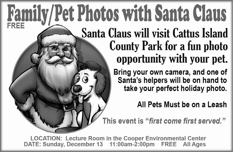 Graphic of Santa Claus and a Dog on a family/pet photo flyer
