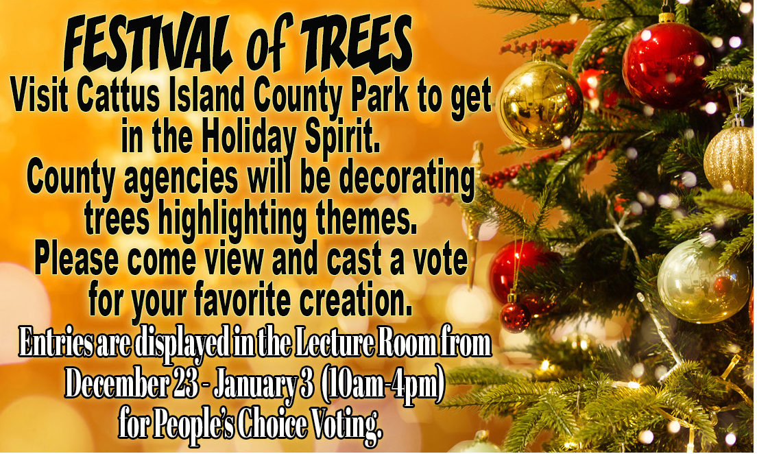 Festival of trees flyer on a yellow background with a Christmas tree with white lights, gold and red ornaments on it