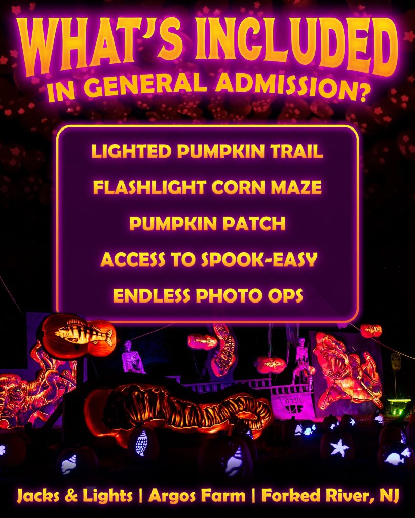Jacks and Lights flyer with image of light up pumpkins in designs