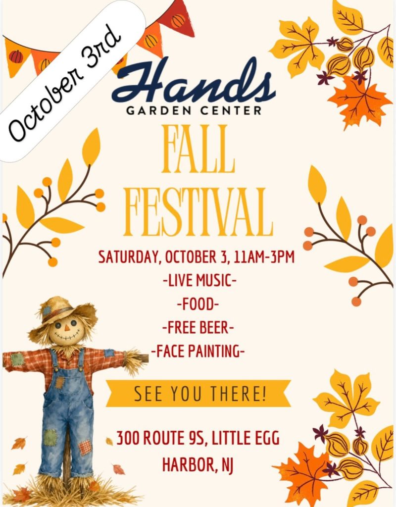 fall festival flyer with a scarecrow and fall color leaves around the border 
