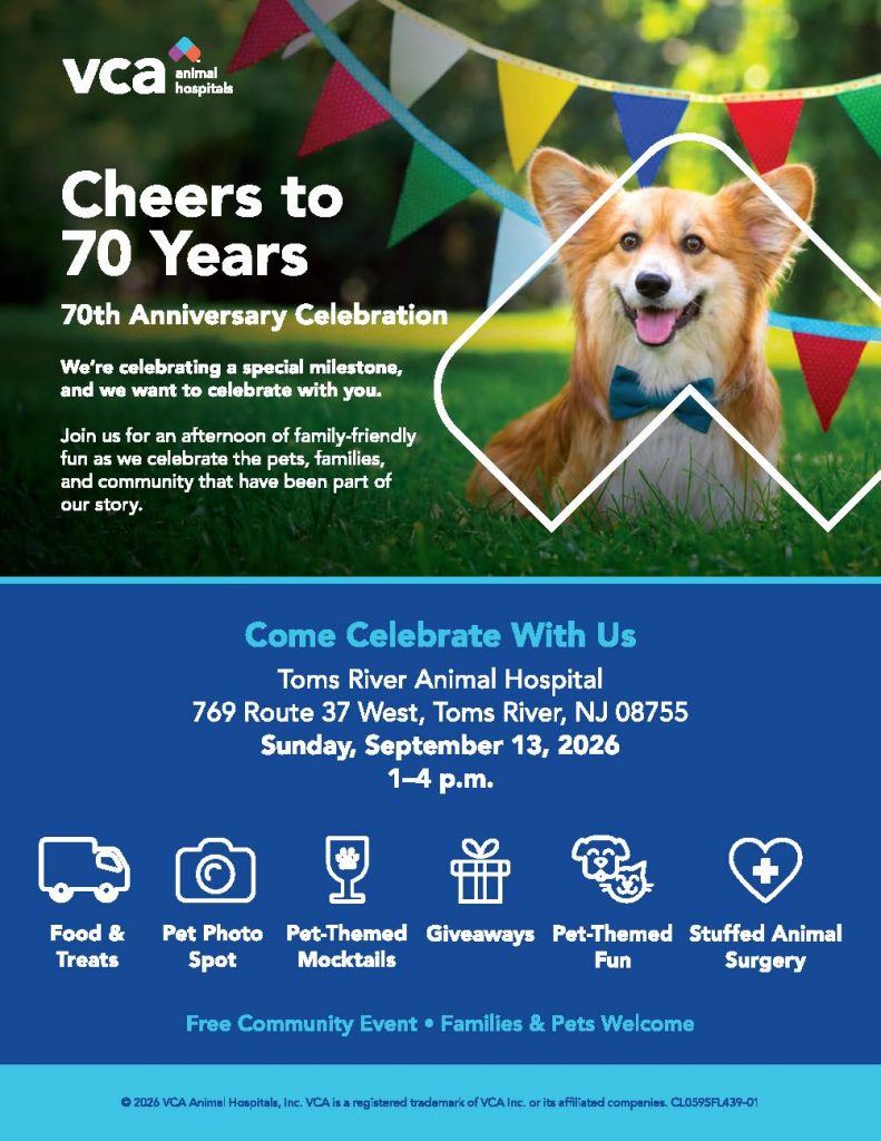 A dog wearing a blue bowtie with grass and trees in the background along with banners